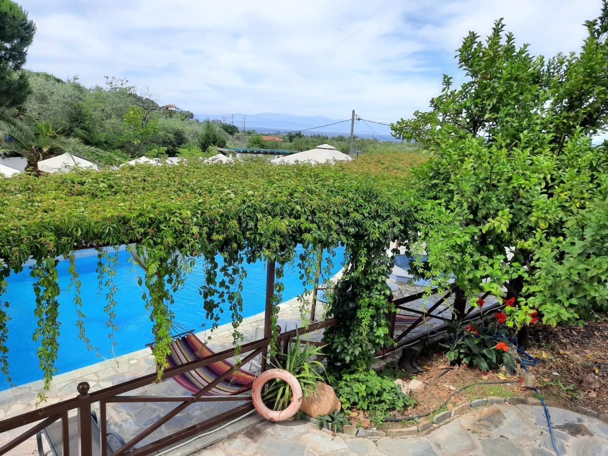 Seralis Pelion อาฟิสโซส ภายนอก รูปภาพ
